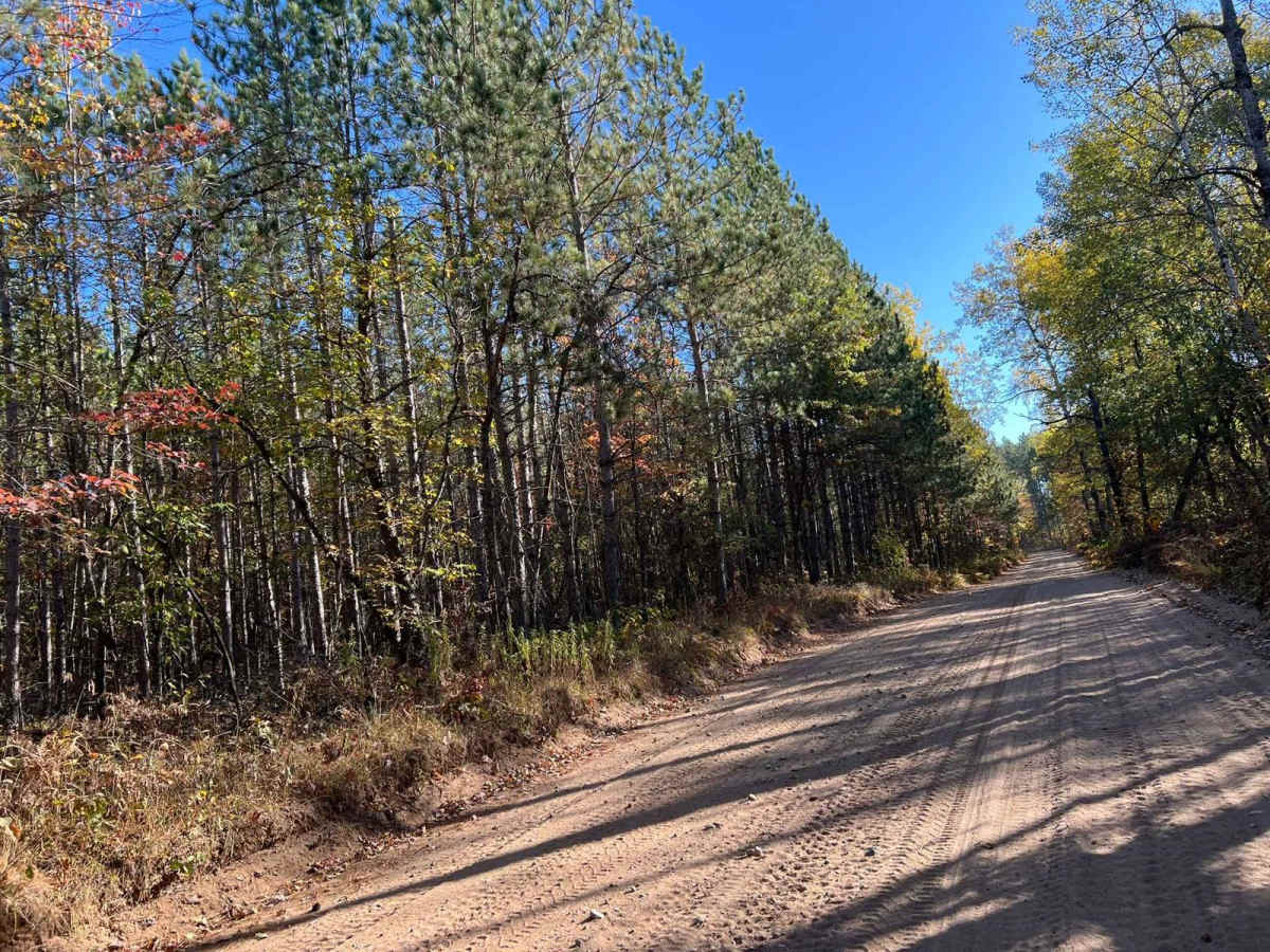Trail 5- Forest Road 219 photo 2