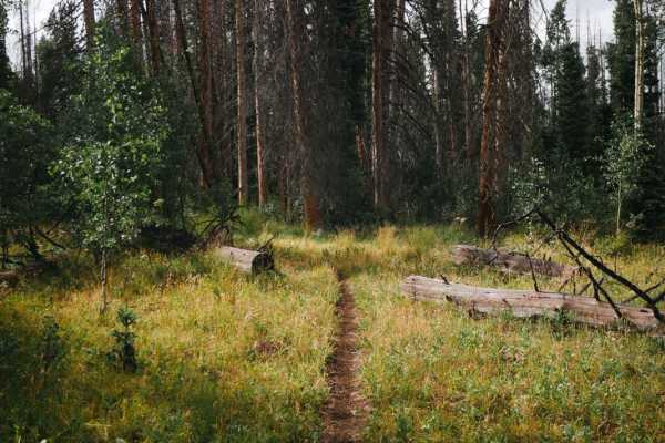 Valdez Trail
