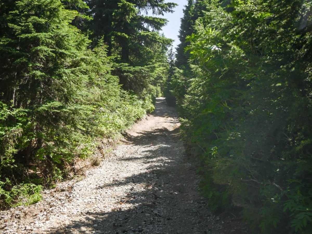 Lake Elsie Ridge ATV photo 4