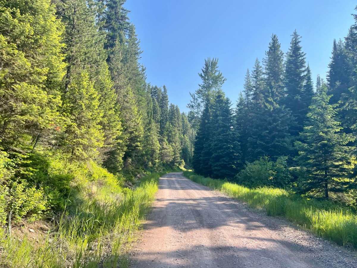 Morrell- Clearwater Lake photo 3