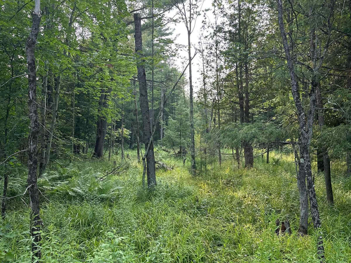 North Carmean Road Part 1 photo 5