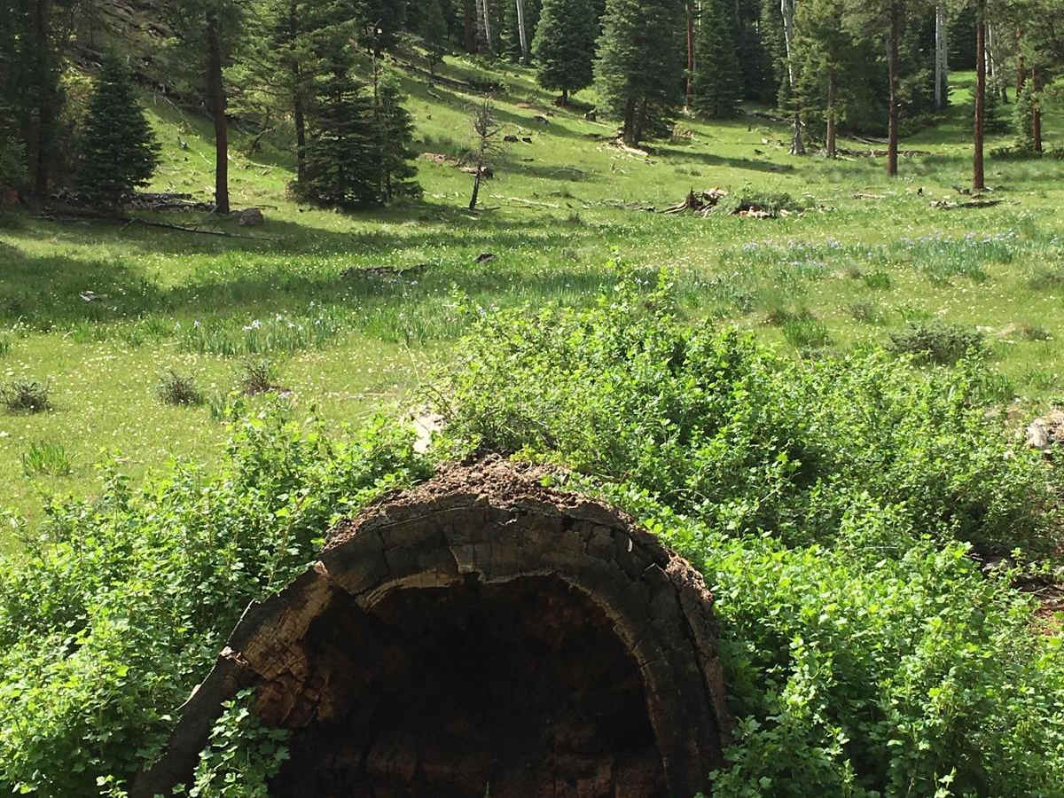 Twin Cabins - FR 527 photo 2