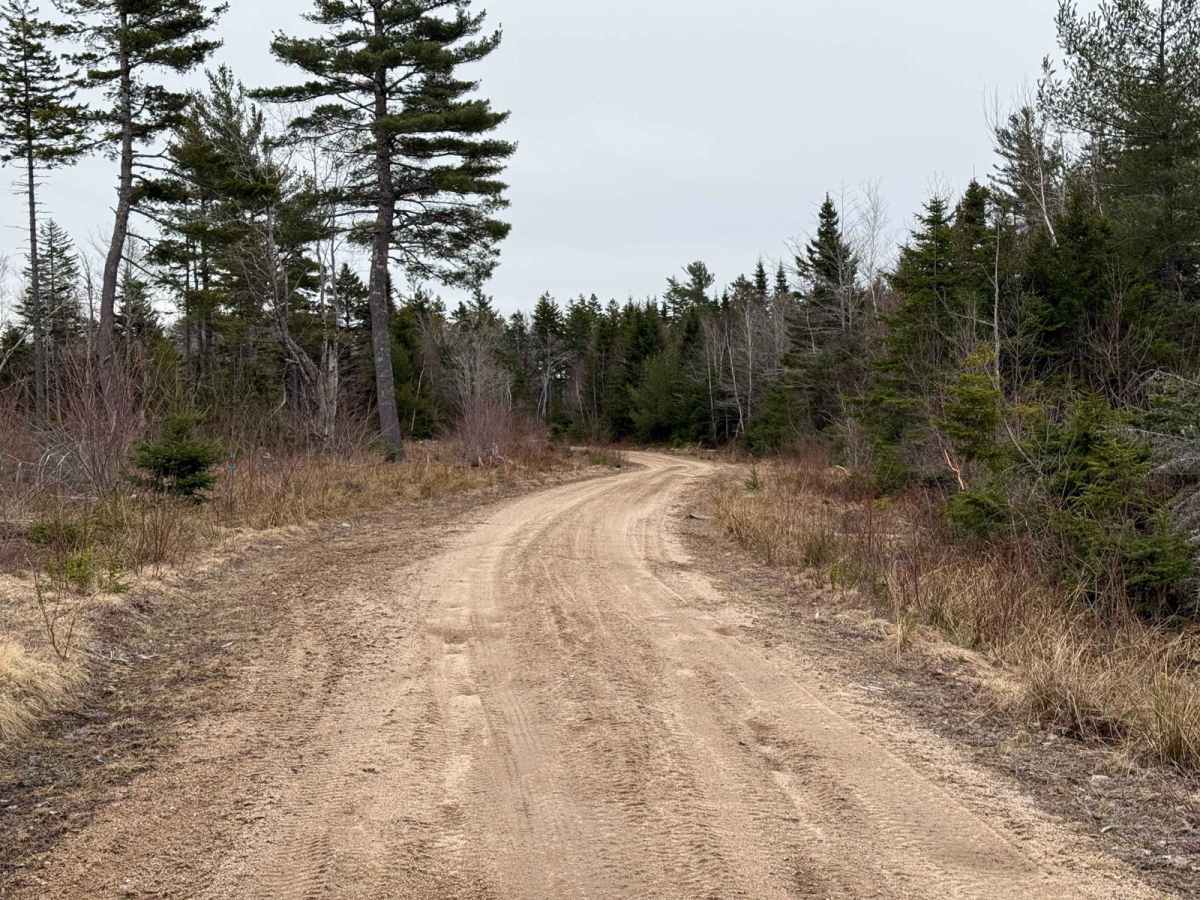 Plane Crash Trail photo 3