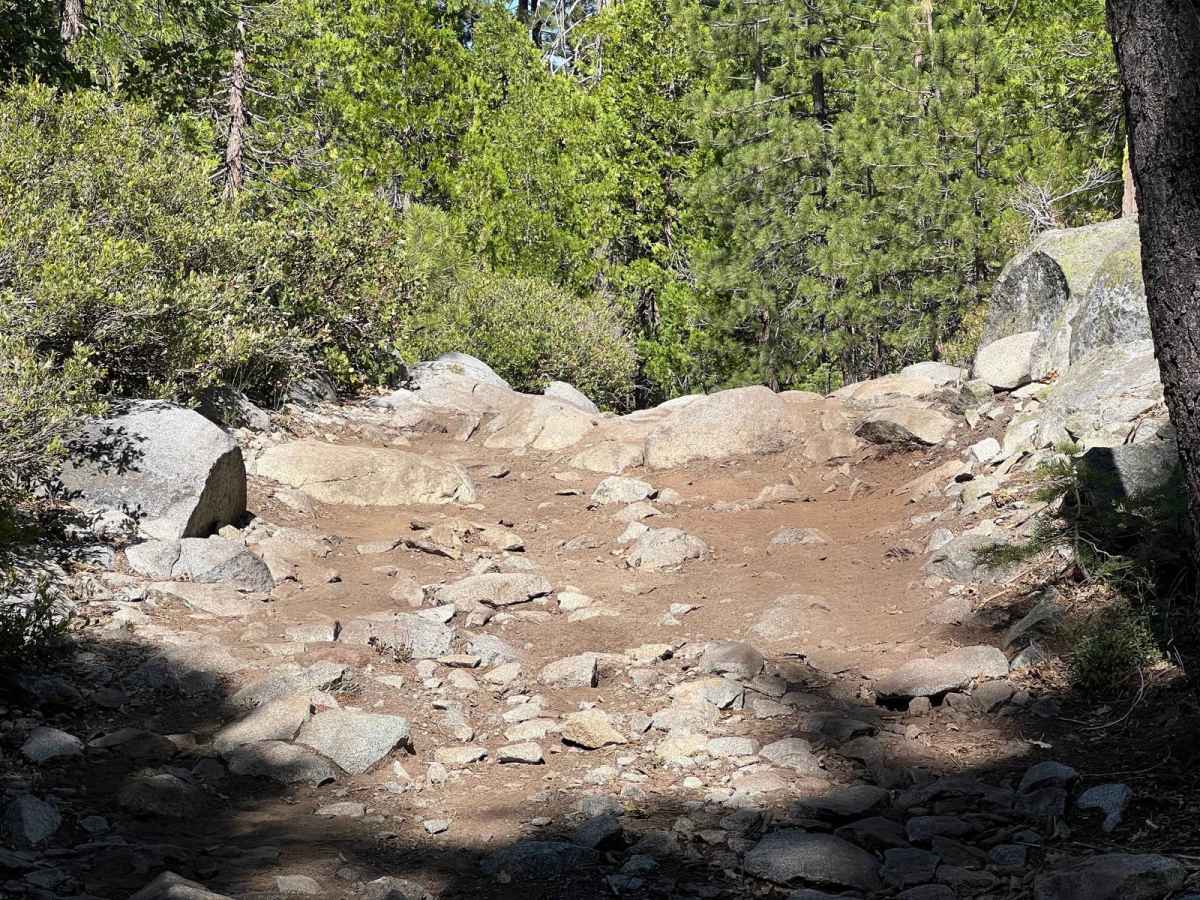 Pierce Loop photo 3