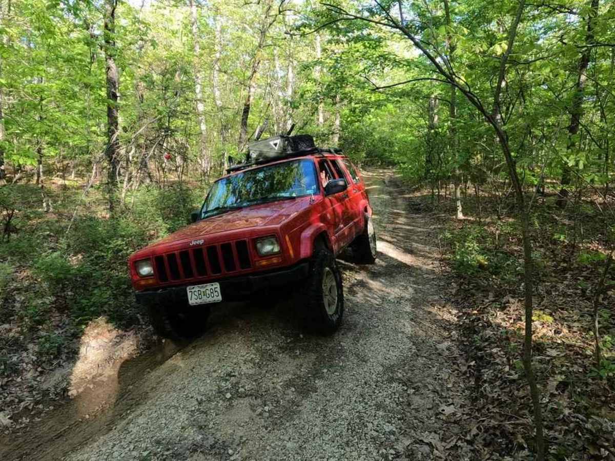 Crane Mountain Ridge FSR 2037 photo 6