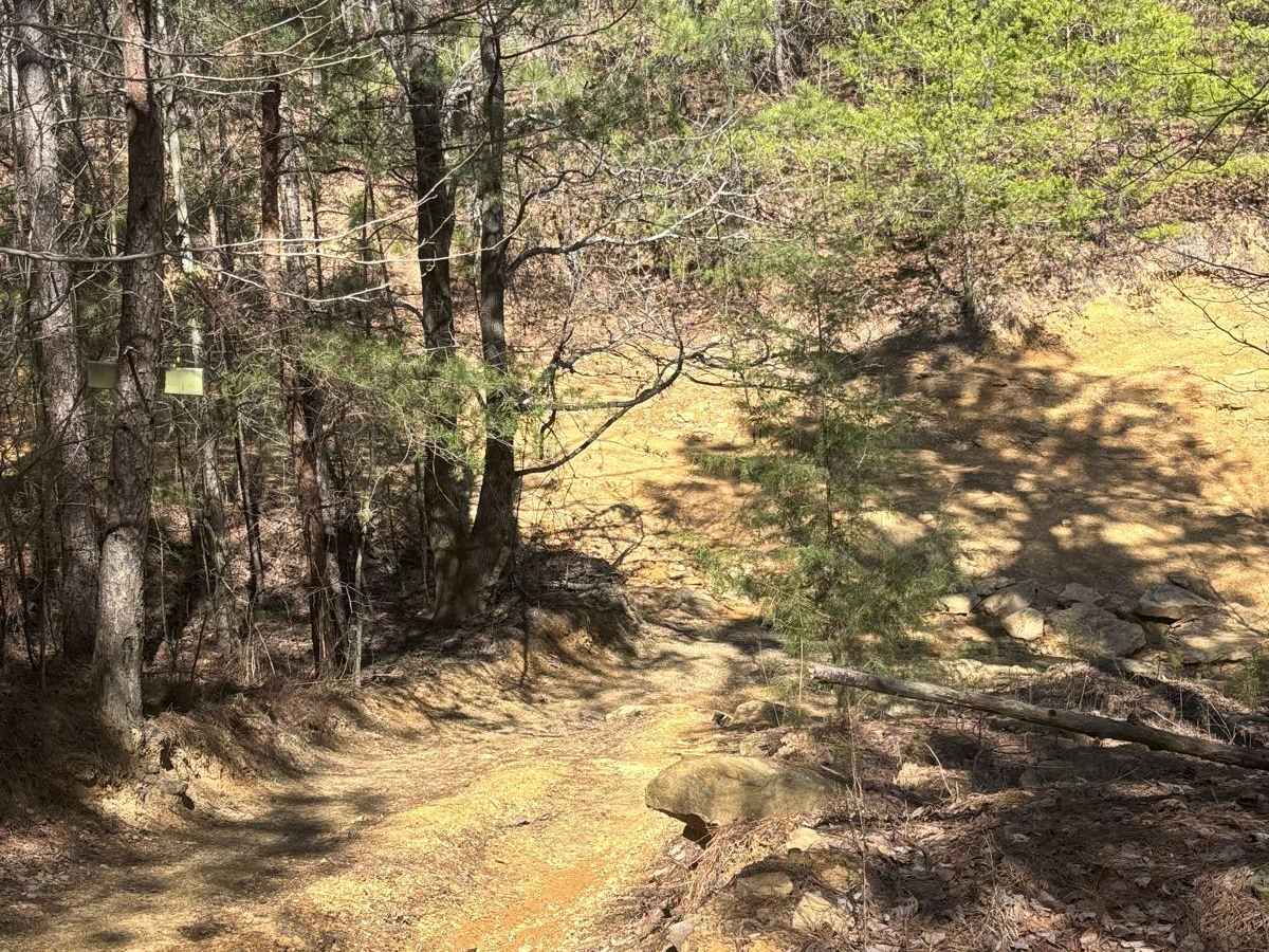 Turkey Hill photo 5