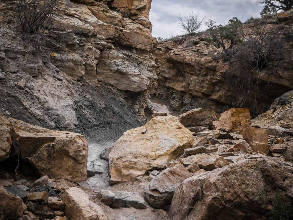 Eagle Valley photo 5