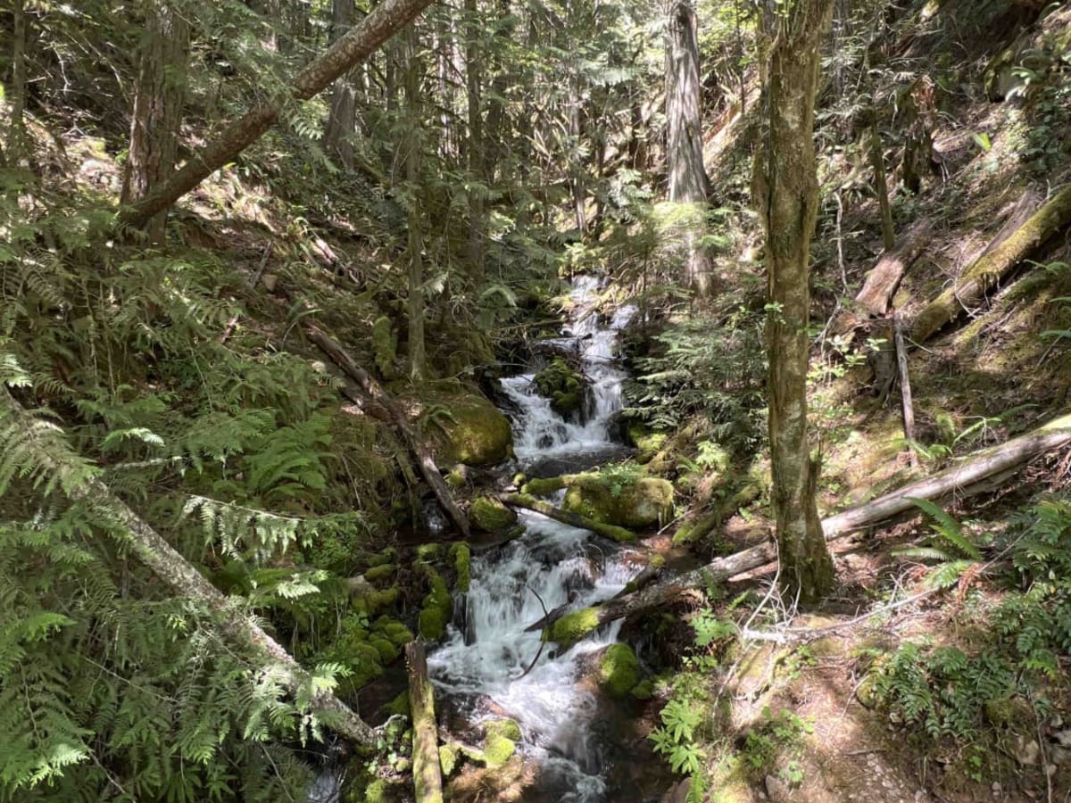 Harriet Lake 4630 photo 4