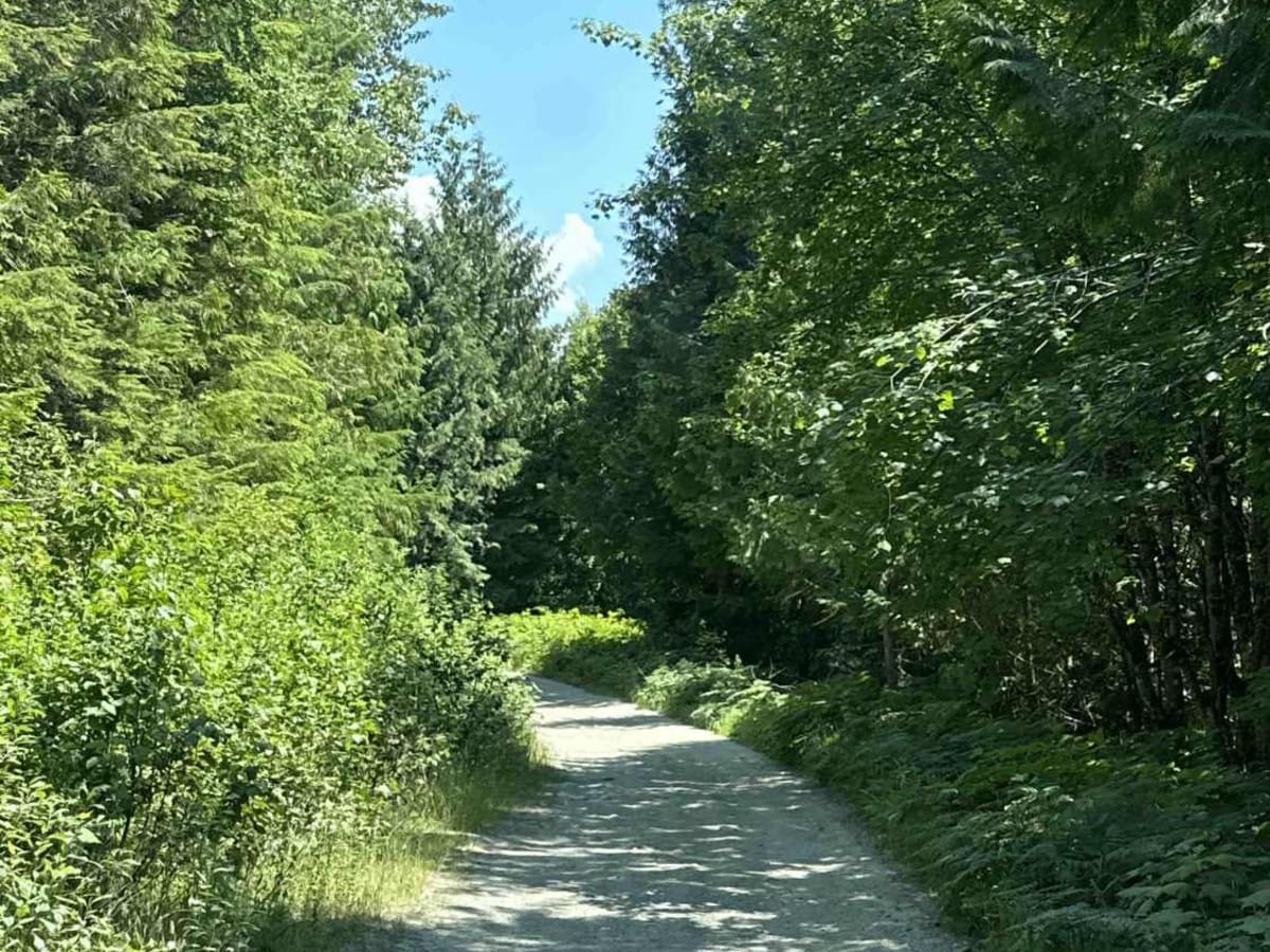 Wilson Creek trail photo