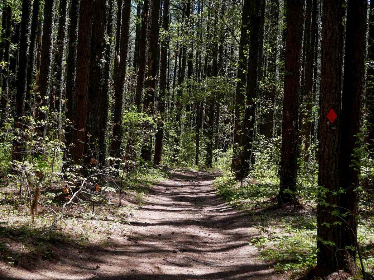 Brock 48 trail photo