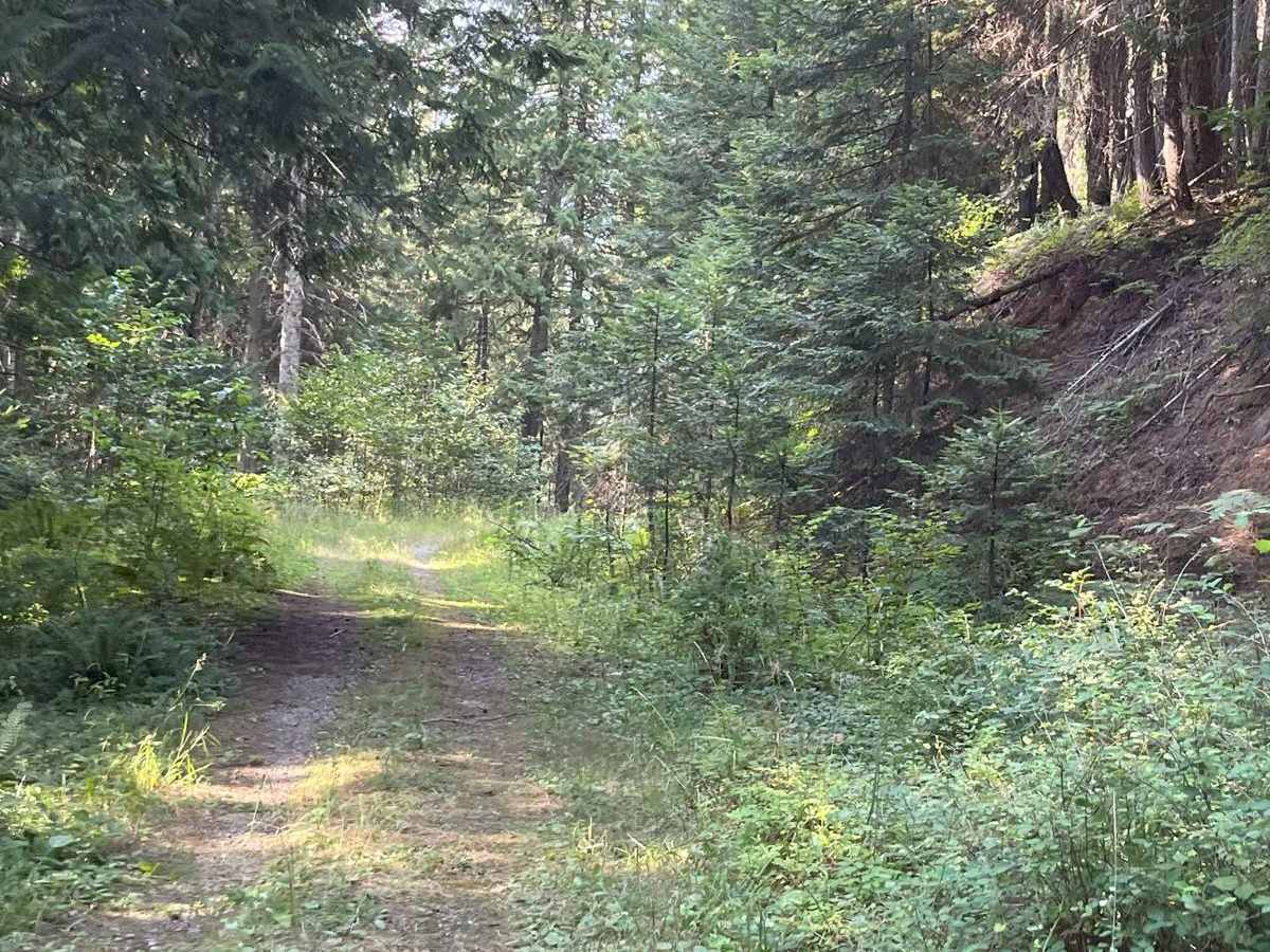 Little Meadow Creek OHV Campground photo 4