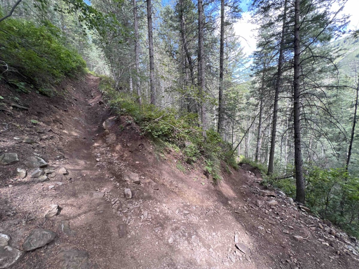 Bear Canyon (2179) photo 6