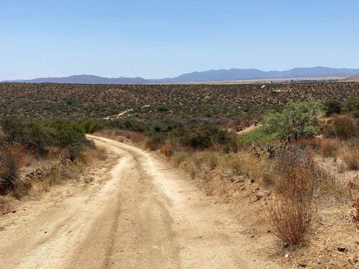Lasso Loop photo 4