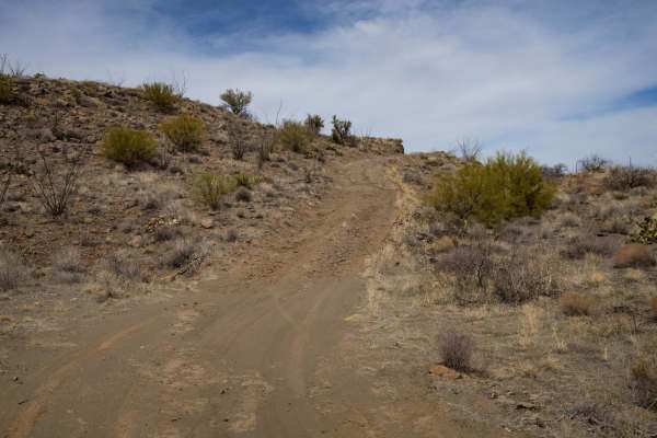 Hillcountry