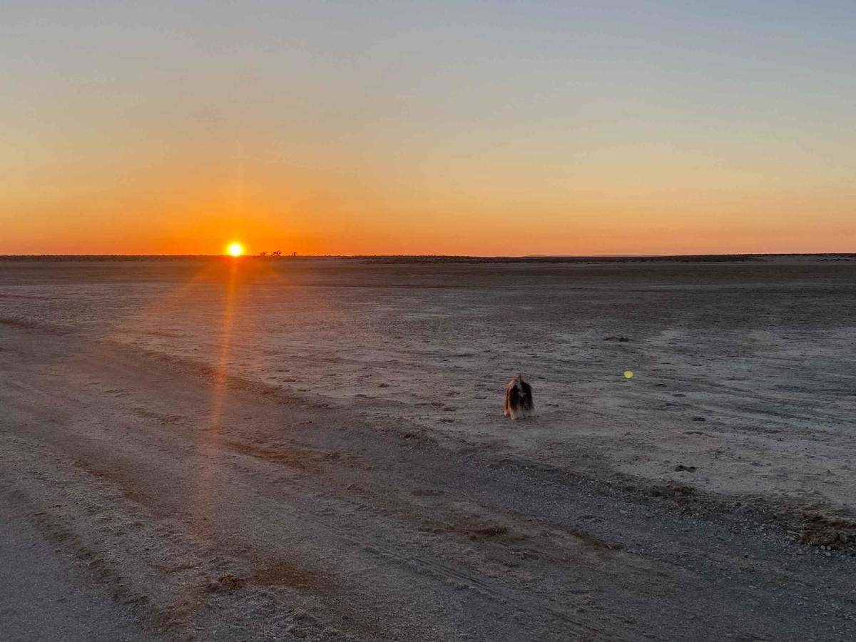 Salt Flats Loop photo 5