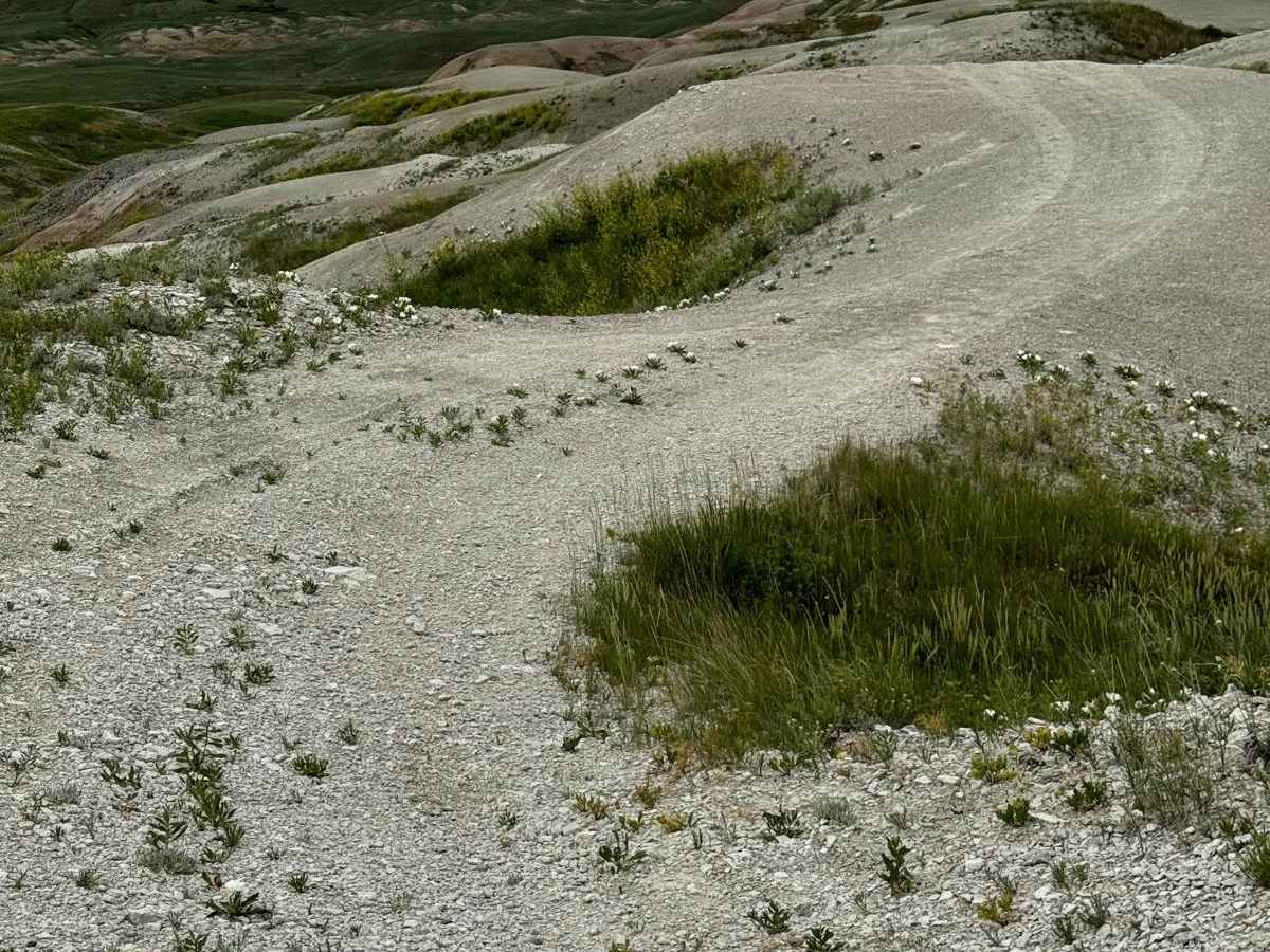 Bear Creek Spur trail photo