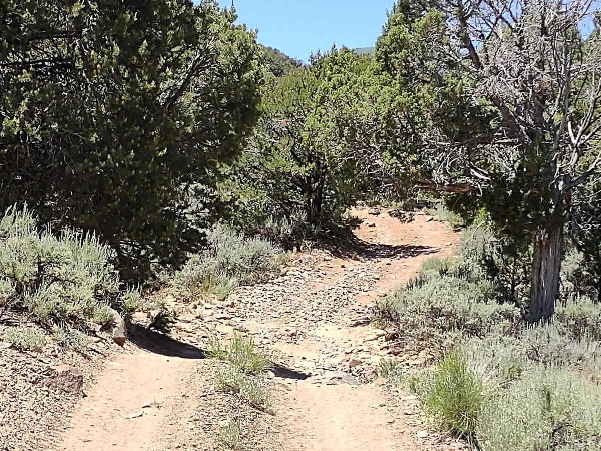 City Creek Canyon (FS# 40133) photo 6