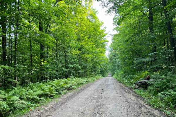 Indian Market Road - FS 2139
