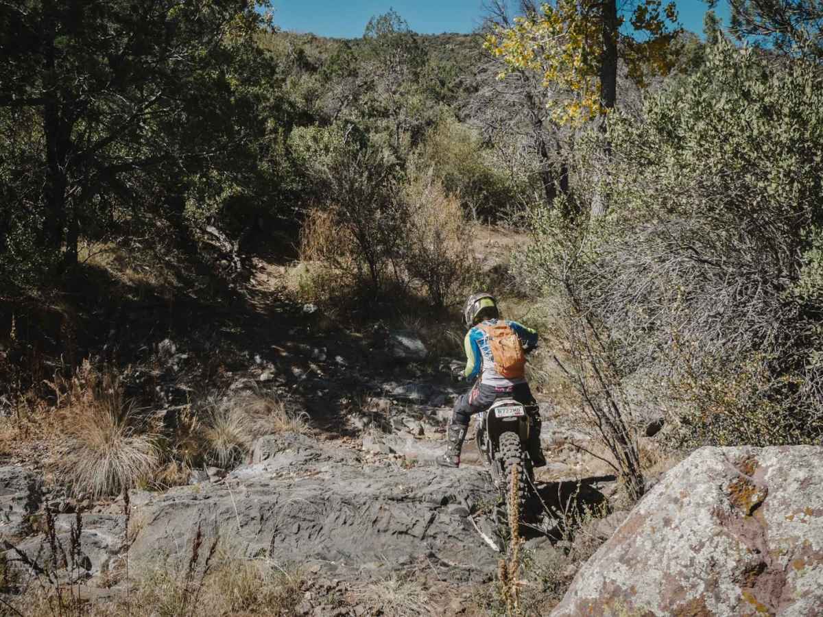 Pine Creek photo 3