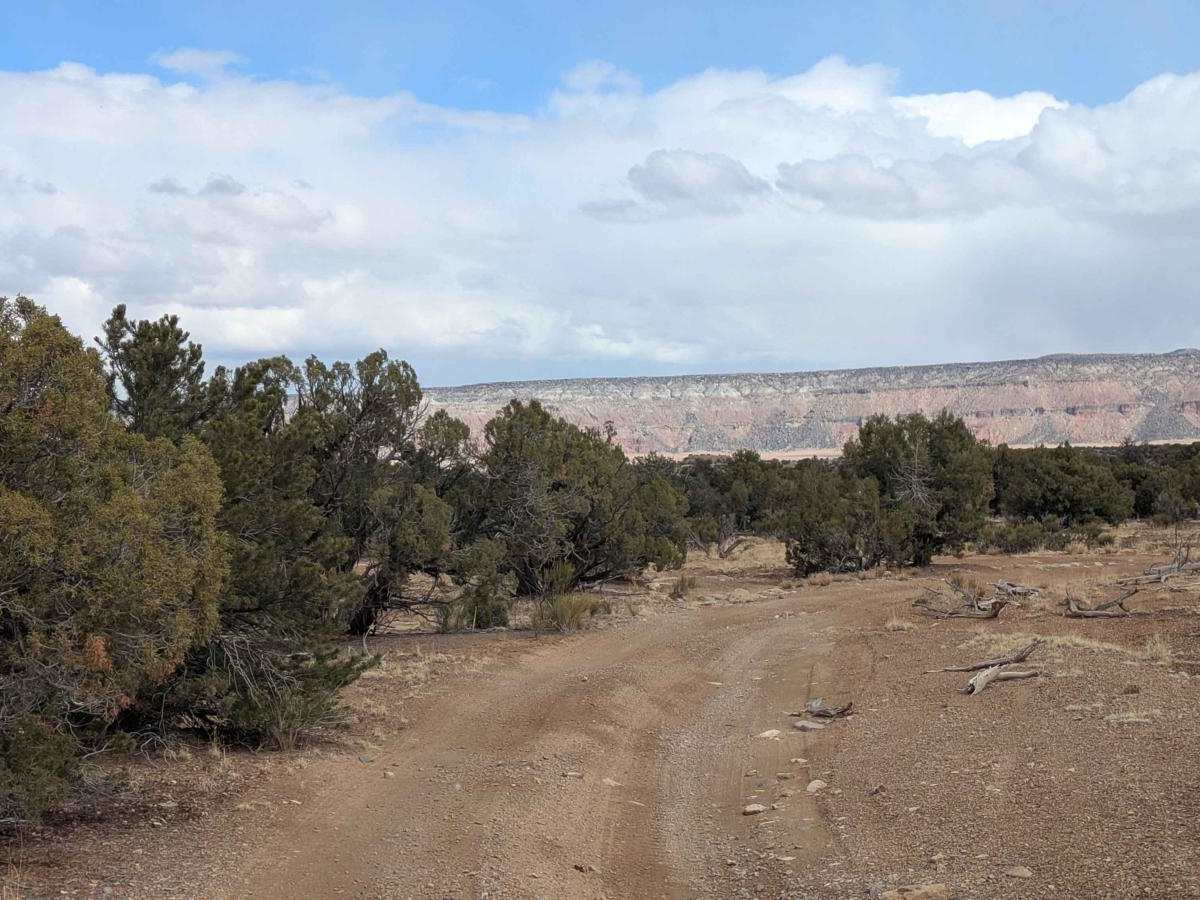 Wedge Overlook Loop 1 photo 6