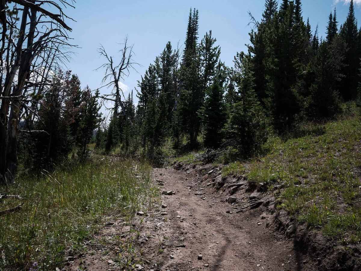 Cabin Creek photo 2