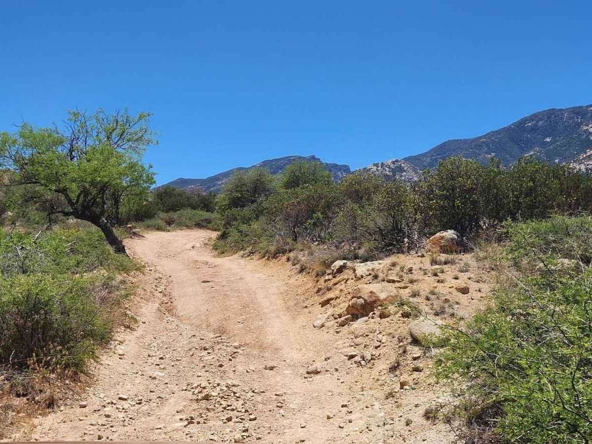 Old Happy Valley Road FR 4406 photo 3