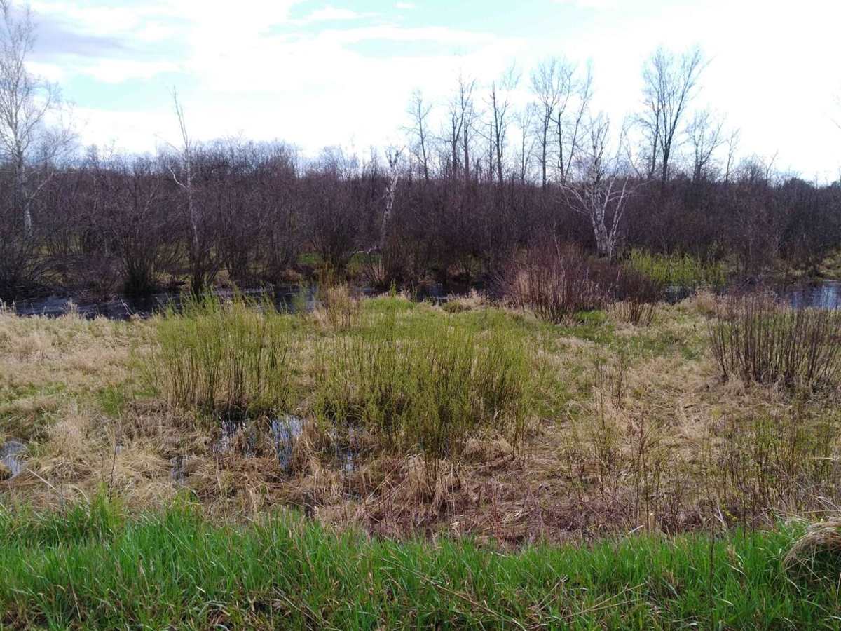 Moose Lake to Kettle River photo 6