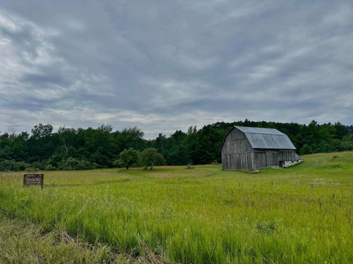 South Thoreson Road trail photo