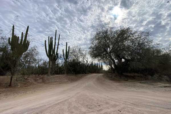 Tres Ranchos Arroyo