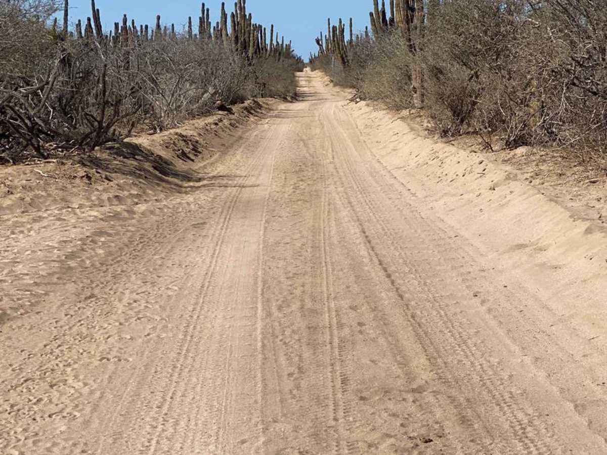High Road Ejido Meliton photo 2