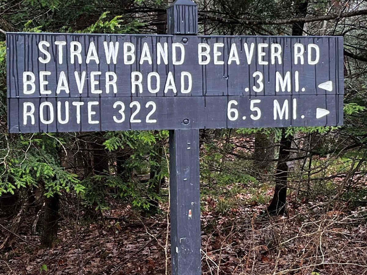 Strawband Beaver Road trail photo