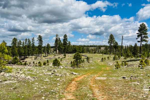 Long Valley West