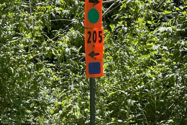 205