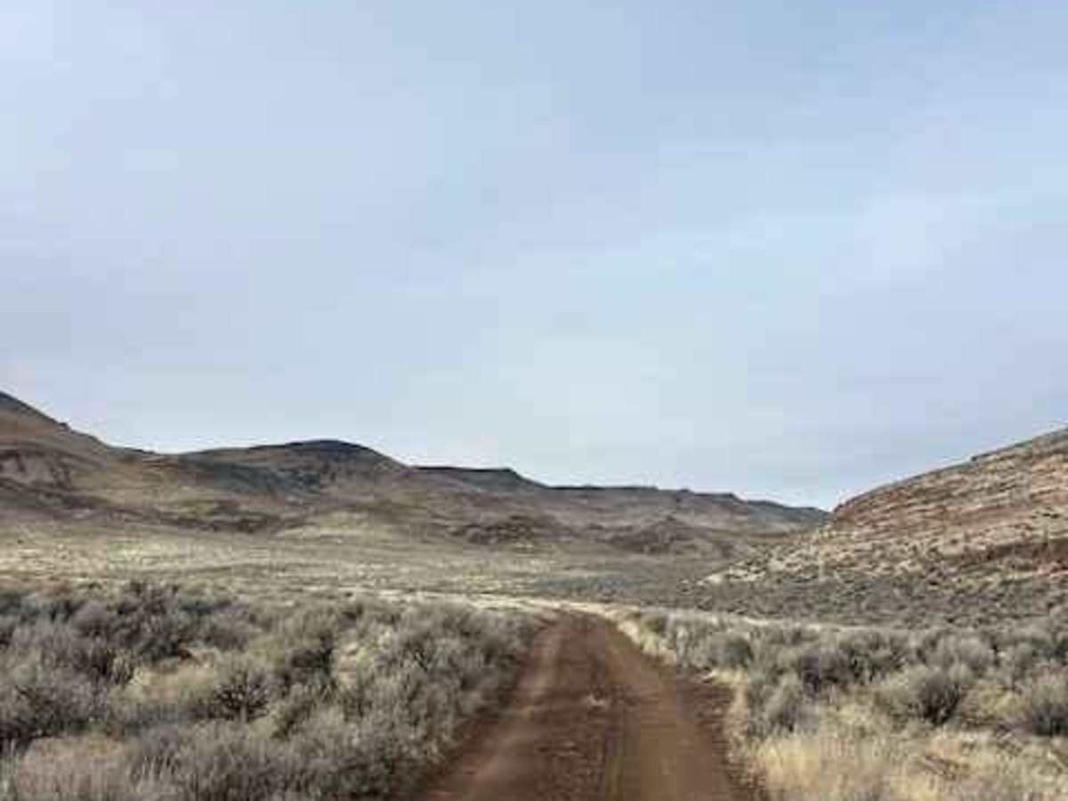 Jackrabbit Run photo 3