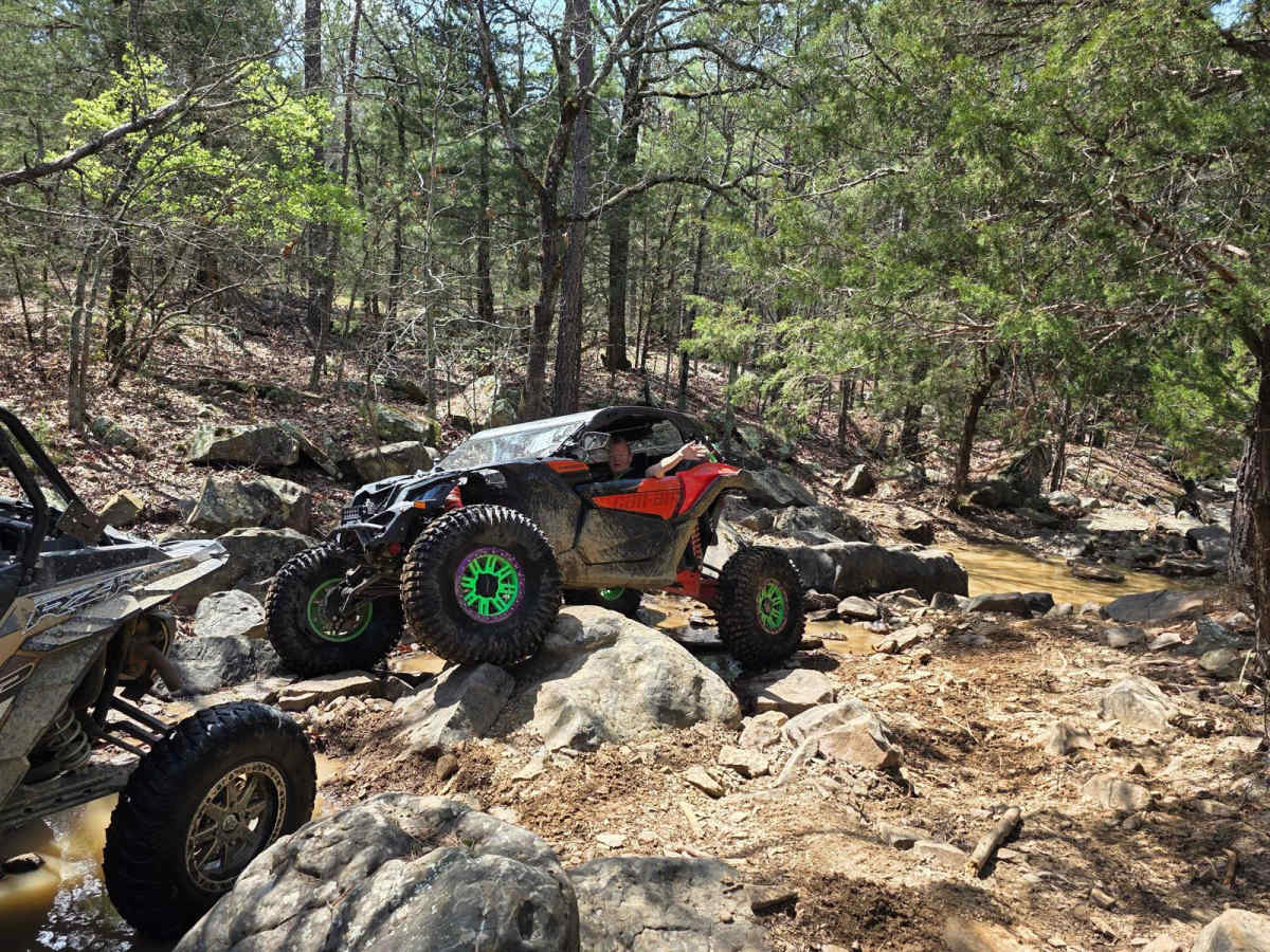 Twisted Cedar trail photo