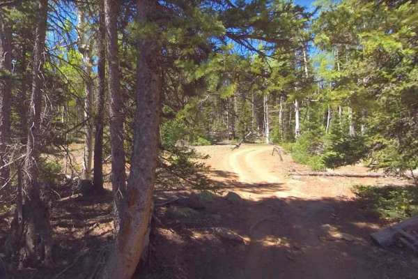 Boulder Swale ATV Trail-NFS34022