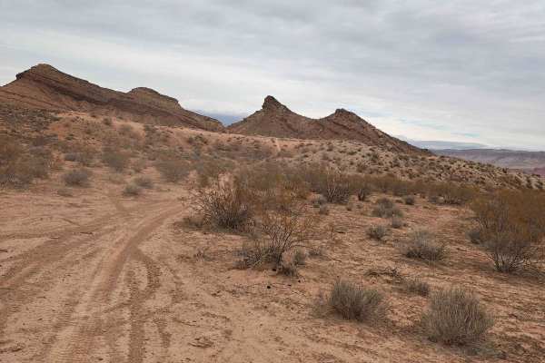 Side Trip - Single Track