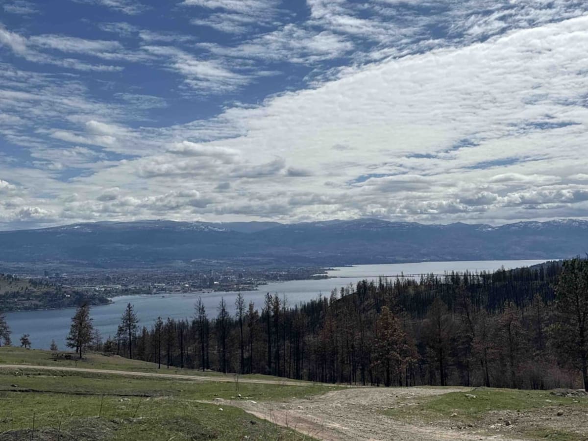 Blue Grouse Mountain Summit photo 4