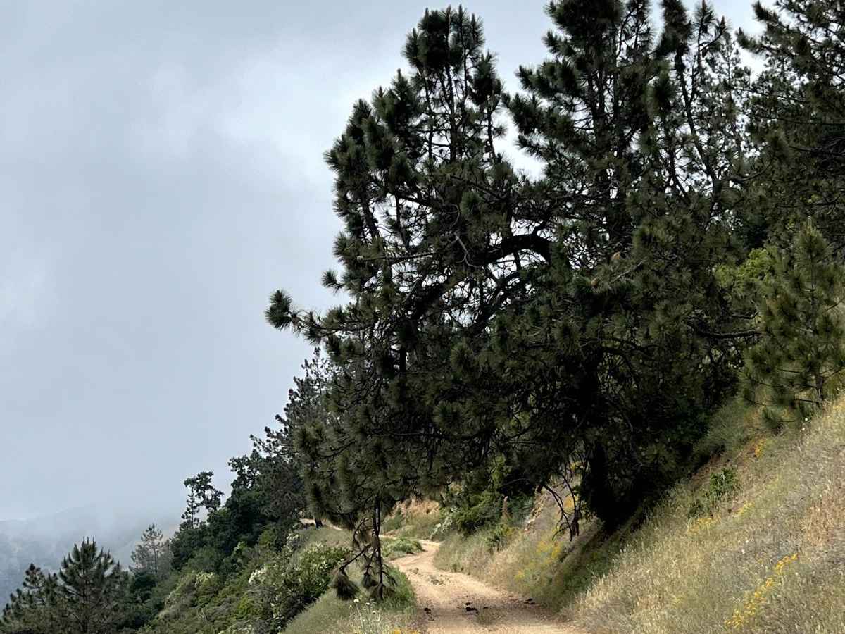 Zaca Ridge Road photo 2