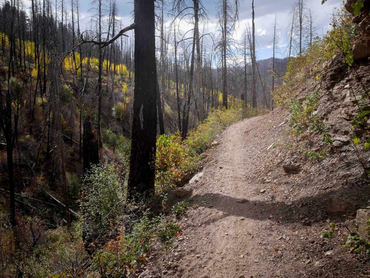 Hermosa Creek ATV photo 2