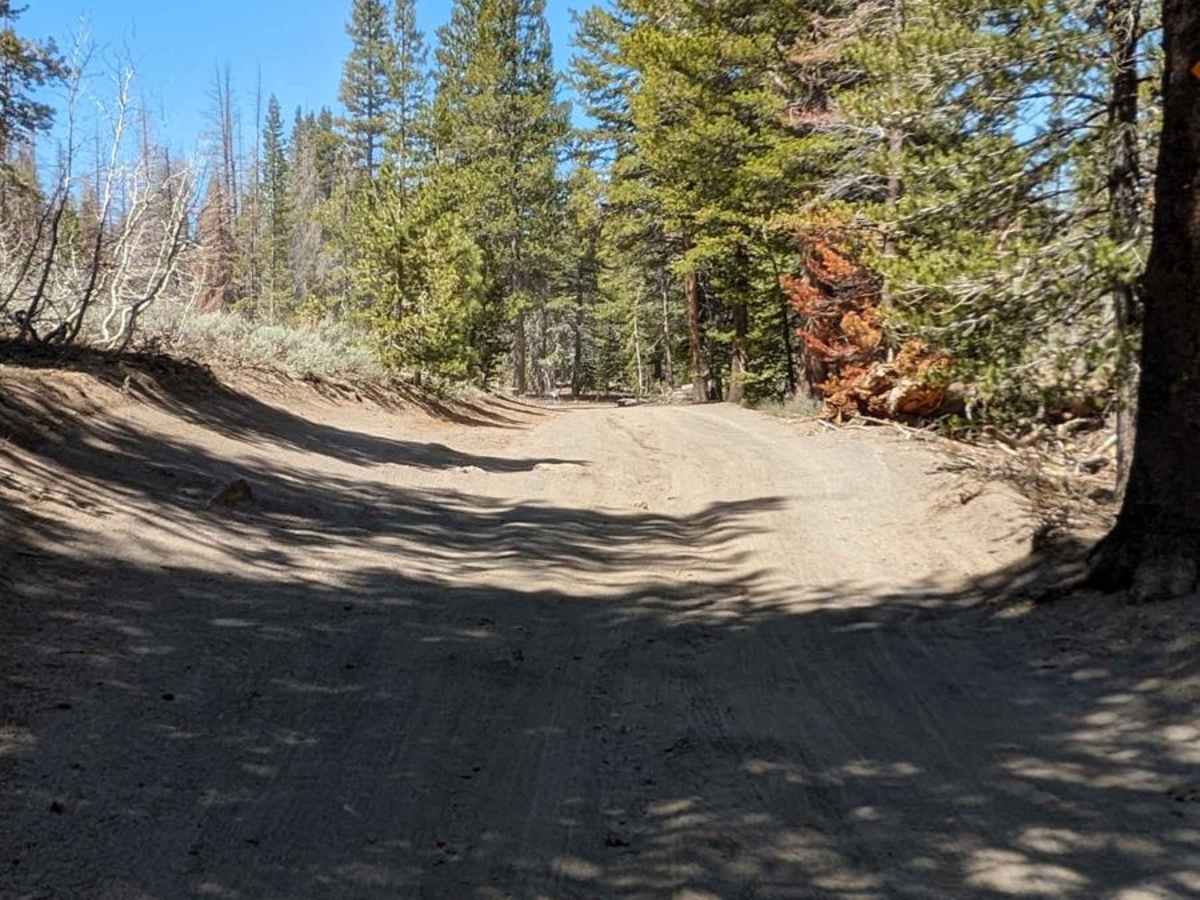 Inyo Crater Road photo 4
