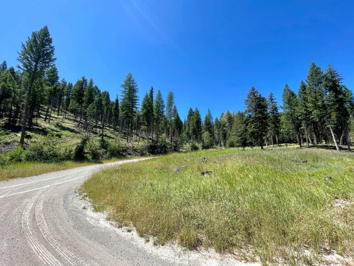 Wild Bill Saddle photo 3