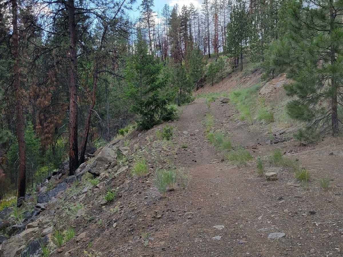 Cabin Creek photo 3