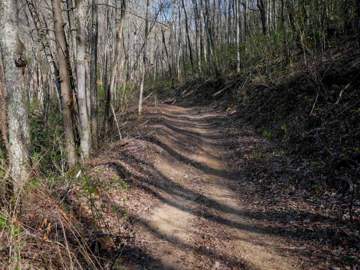 Black Mountain Trail 3 photo 5