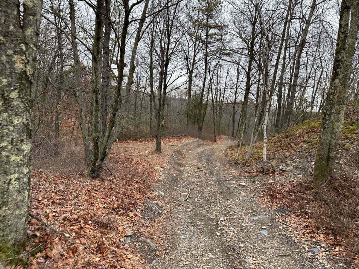 Darkwater 50 photo 6