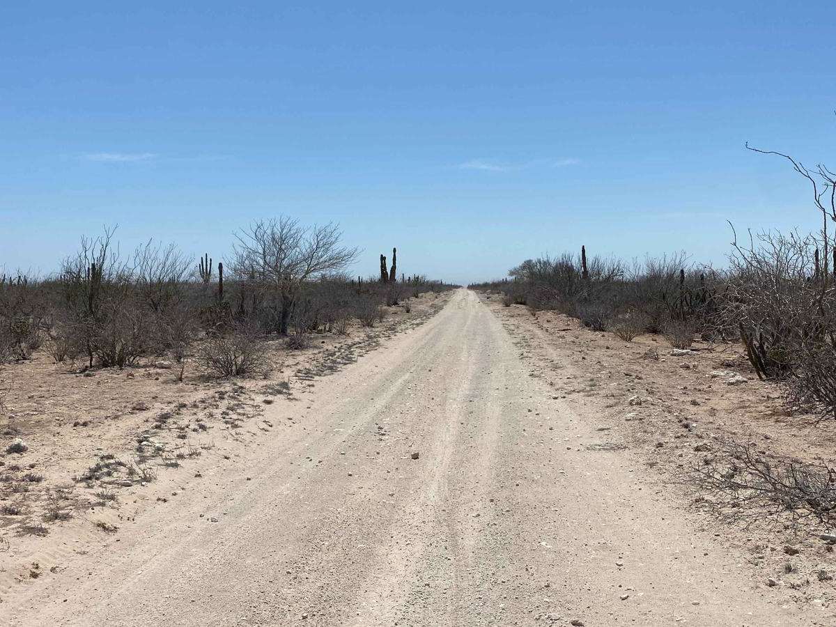 Lomita Amarilla North photo 5