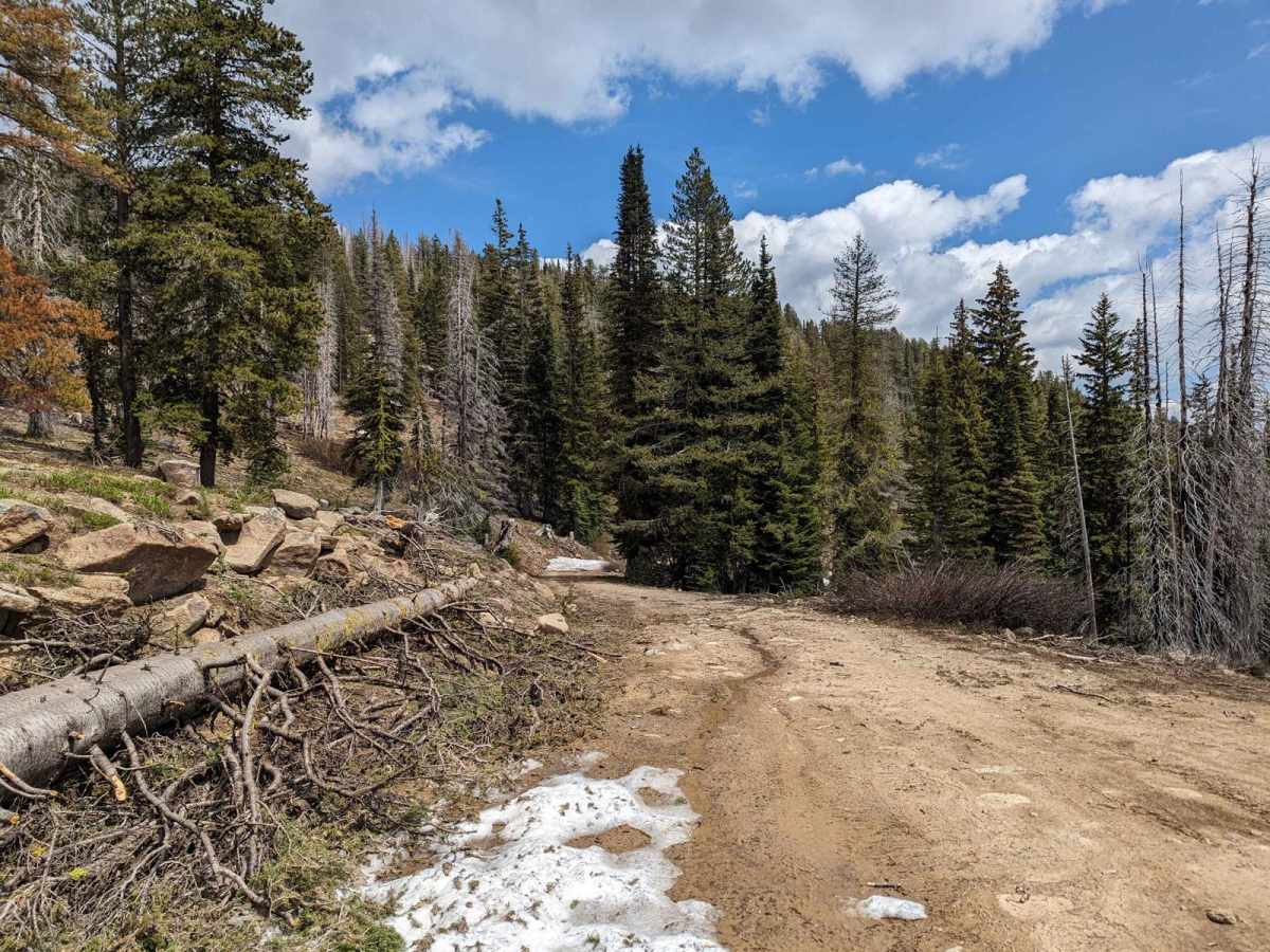 Pilot Peak/Summit Flat 380 photo 5