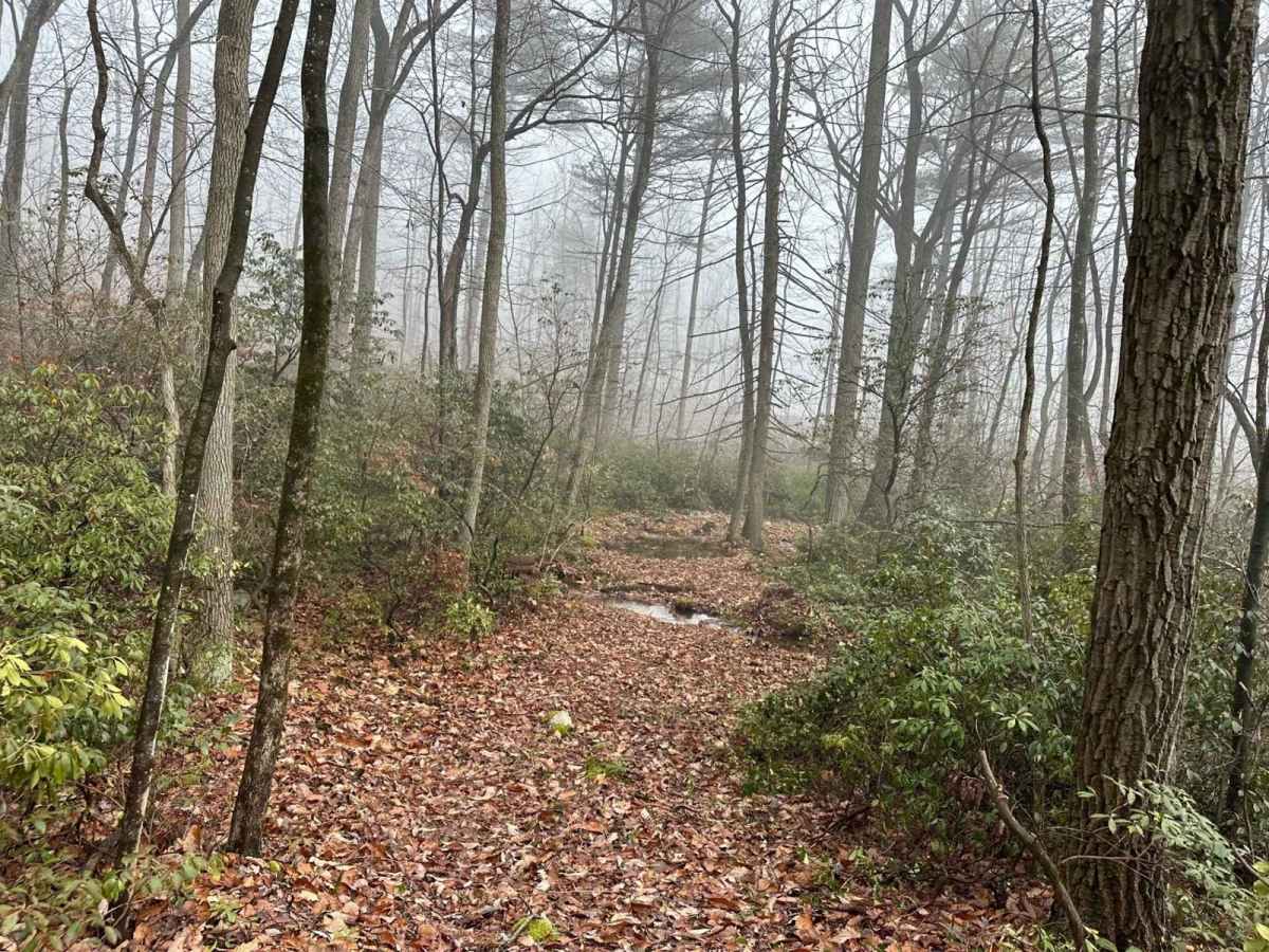 Darkwater 109 photo 3