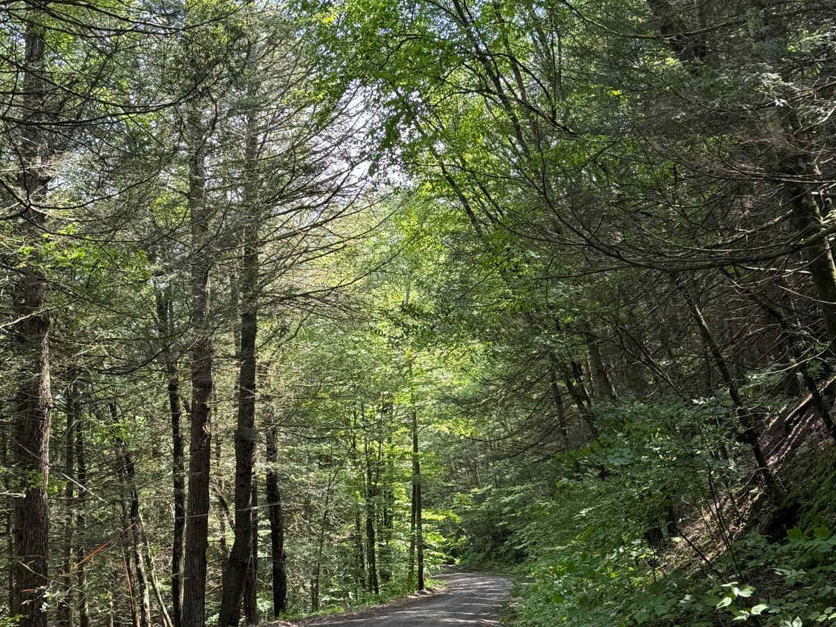 Old Union Road trail photo