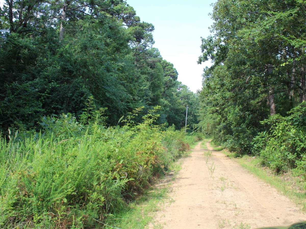 Dutch Creek Mountian to Towers photo 5